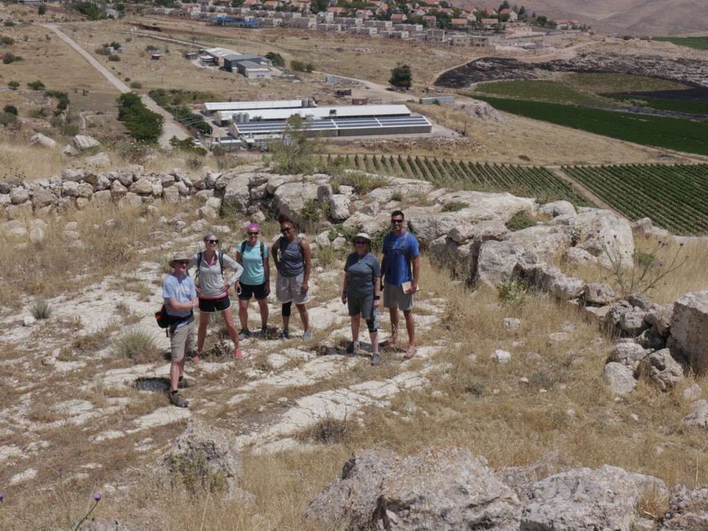 sheep pen with settlement in background